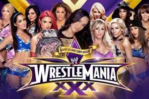 AJ Lee vs. the world