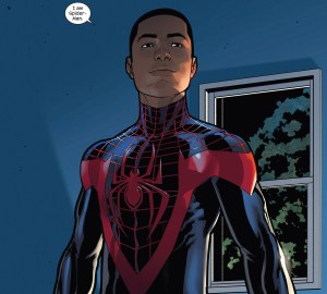 Not sure how a "regular" fan would react to a Black-Hispanic superhero, though.