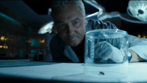 Of course insects are involved. It's Grissom after all!