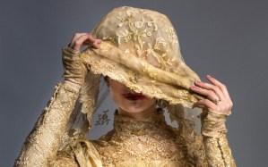 What's behind the veil of mystery?