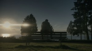 Look! The dog's gone!